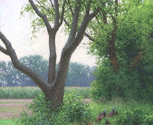 Wild turkeys in summer, oil painting