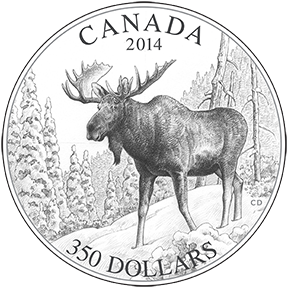 Moose Coin Sketch