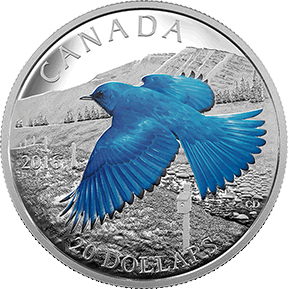 Mountain Bluebird Coin