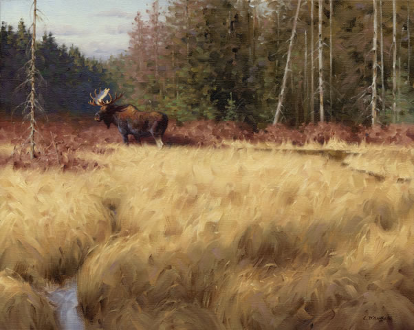 North of Here, painting of moose in Laurentian woods