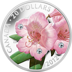 Rhododendron Coin