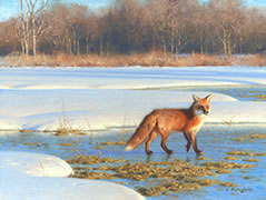 Le soleil, la glace et un renard, toile d'un renard dans un champs d'hiver, peinture animalier