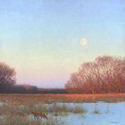 Sunrise over the marsh, fox in winter field