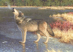 Wolf oil painting, wolf howling, boreal forest, wolf on frozen pond