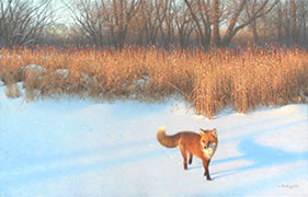 Winter Fox at Sunrise, wildlife, oil painting, red fox crossing winter field, marsh