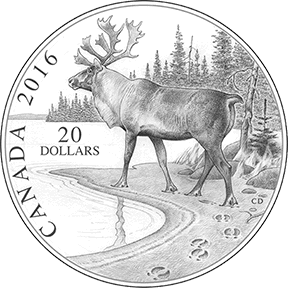 Woodland Caribou Coin sketch