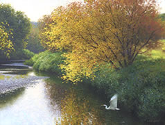 Oil painting of Egret at Dusk, on a river in Eastern Townships, Quebec, wildlife painting, birds, heron